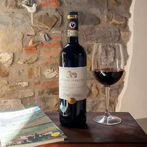 Rifugio Sulla Via Di Volpaia Appartamento Radda In Chianti